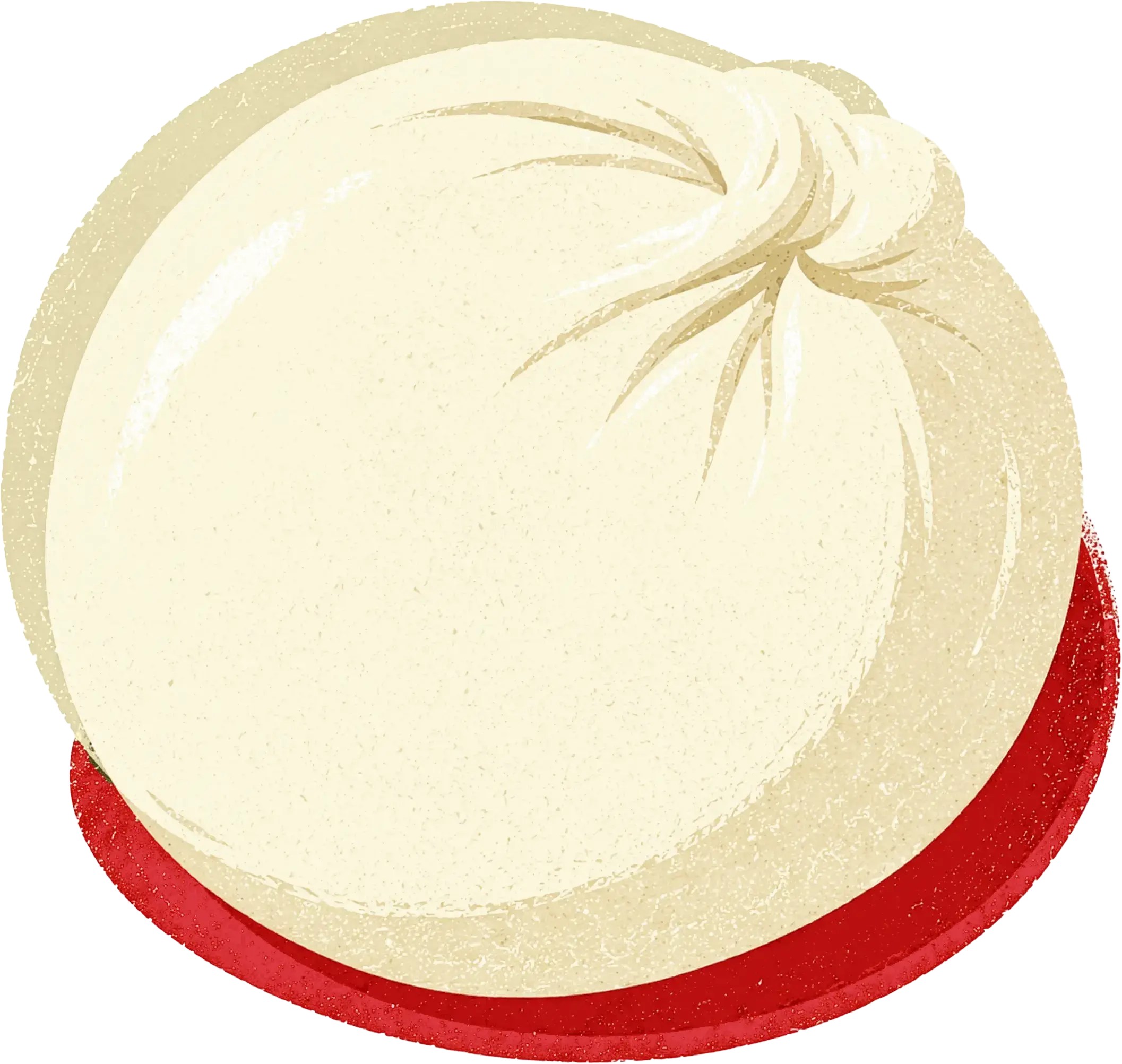 Mozzarella Illustration