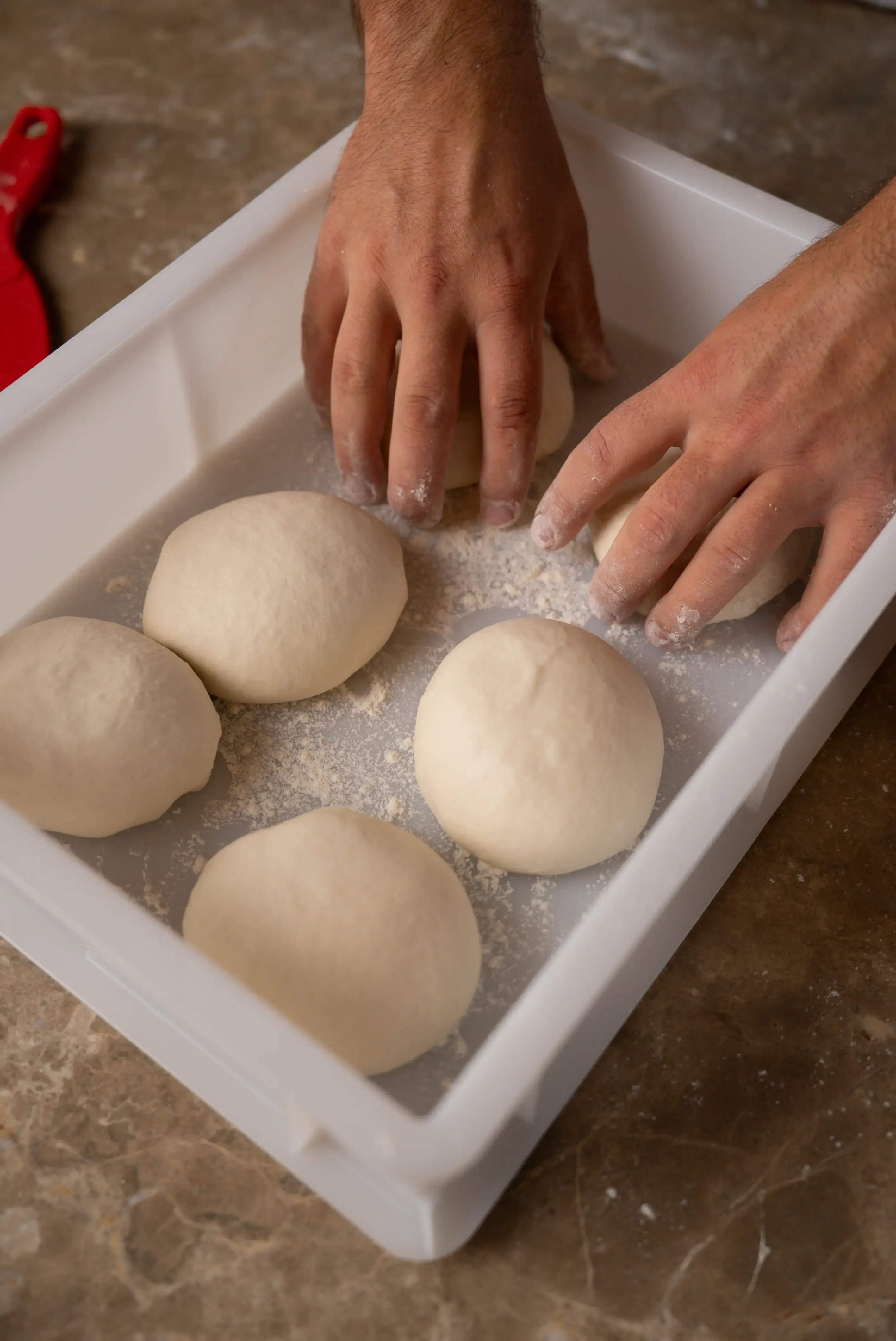 perfekter pizzateig mit Teigmaschine zubereitet 