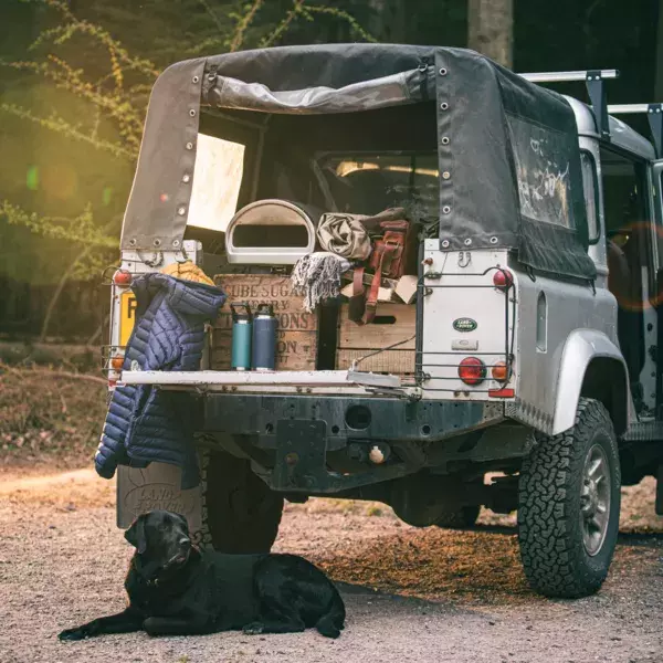 Bild von Gozney Roccbox in Jeep mit Hund vor dem Jeep