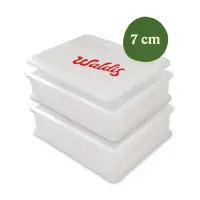2 Pizzaballenboxen mit Deckel | H7 cm | 40x30x7
