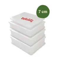 3 Pizzaballenboxen mit Deckel | H7 cm | 40x30x7